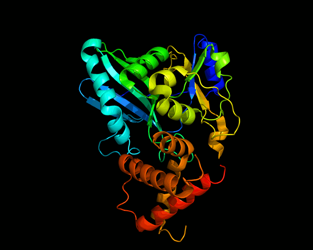 3-dimensional structure of the Ligase enzyme, rendered as a slightly-rotating animated GIF.